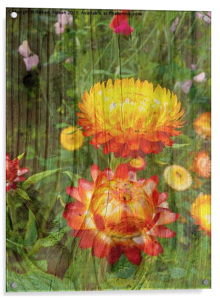  Flowers On Wood. Acrylic by Robert Gipson
