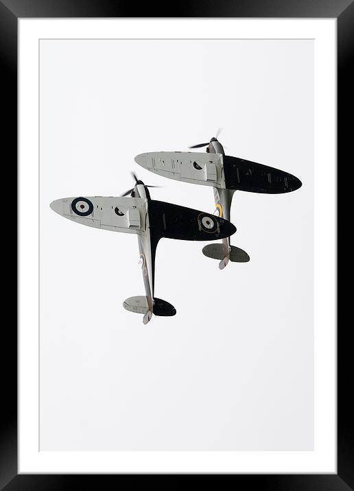 High Key Spitfires Framed Mounted Print by J Biggadike
