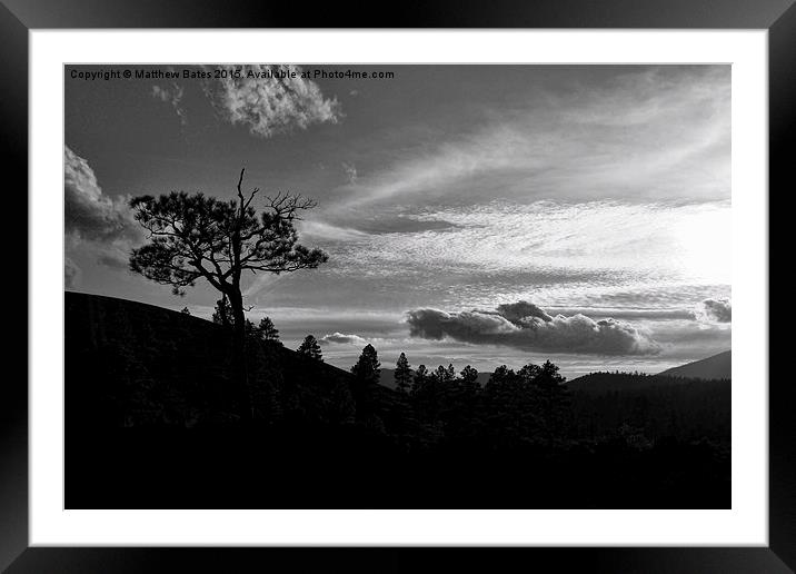  Evening Silhouettes Framed Mounted Print by Matthew Bates