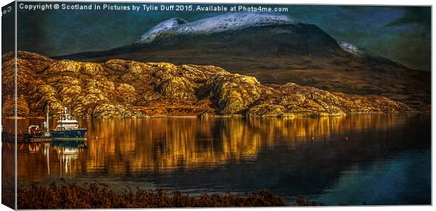  Moonlight on Loch Shieldaig Canvas Print by Tylie Duff Photo Art