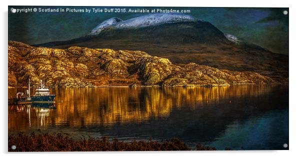  Moonlight on Loch Shieldaig Acrylic by Tylie Duff Photo Art