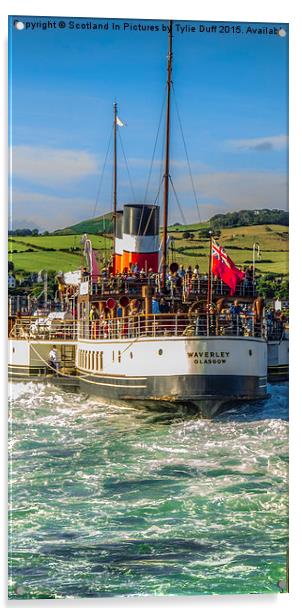   Paddle Steamer Waverley Leaves Largs  Acrylic by Tylie Duff Photo Art