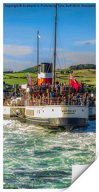   Paddle Steamer Waverley Leaves Largs  Print by Tylie Duff Photo Art