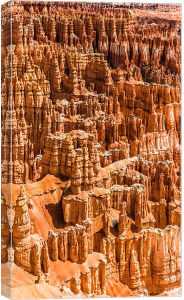 Bryce Canyon Park Canvas Print by colin chalkley