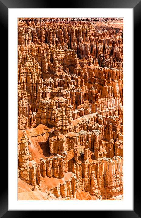 Bryce Canyon Park Framed Mounted Print by colin chalkley