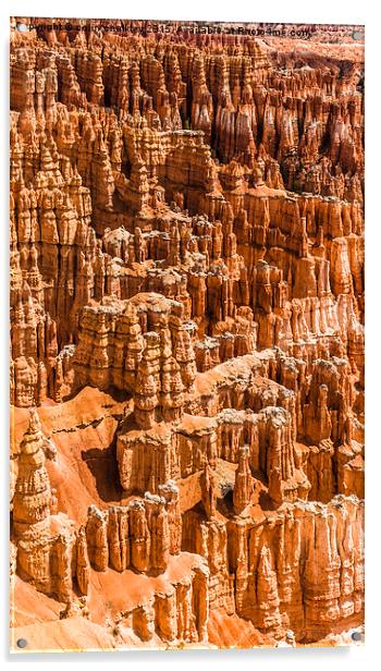 Bryce Canyon Park Acrylic by colin chalkley