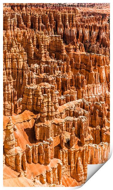Bryce Canyon Park Print by colin chalkley