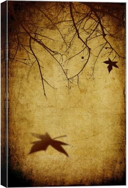  Sad Autumn Canvas Print by Svetlana Sewell