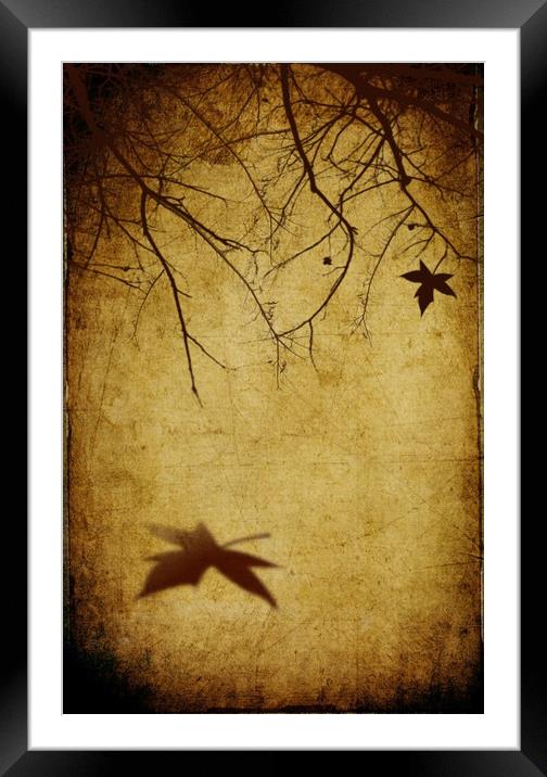  Sad Autumn Framed Mounted Print by Svetlana Sewell