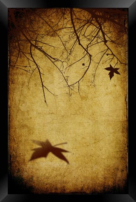  Sad Autumn Framed Print by Svetlana Sewell