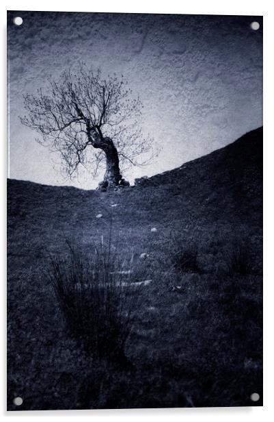  Mystery Tree Acrylic by Svetlana Sewell