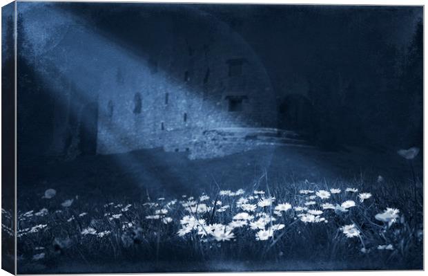  Under the moon light Canvas Print by Svetlana Sewell