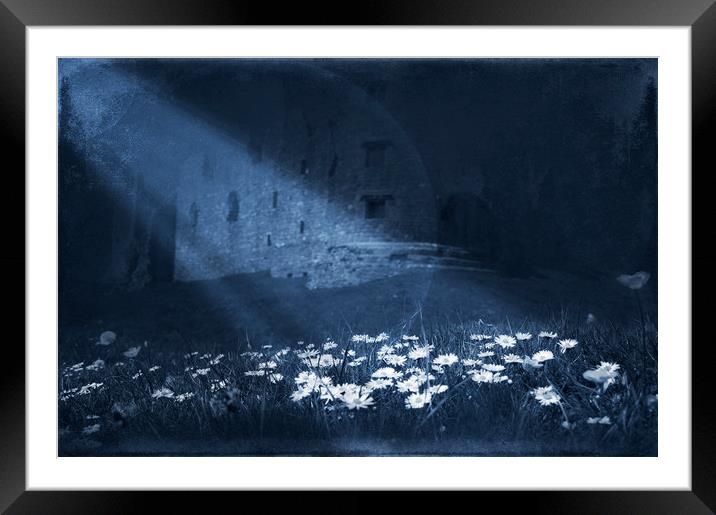  Under the moon light Framed Mounted Print by Svetlana Sewell