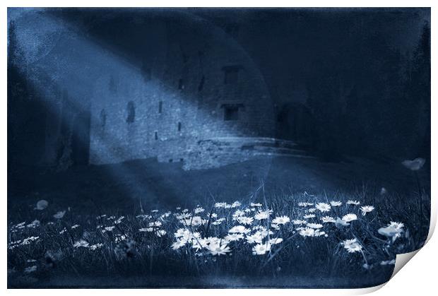  Under the moon light Print by Svetlana Sewell