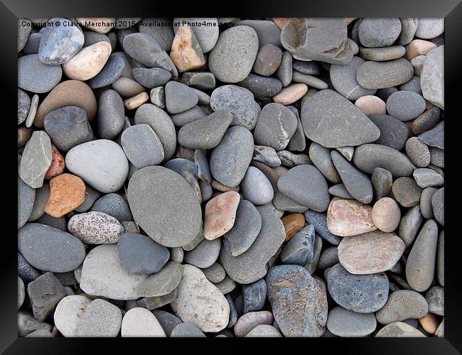  Pebbles Framed Print by Claire Merchant