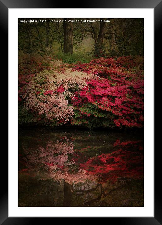 Enchanted Garden  Framed Mounted Print by Jasna Buncic