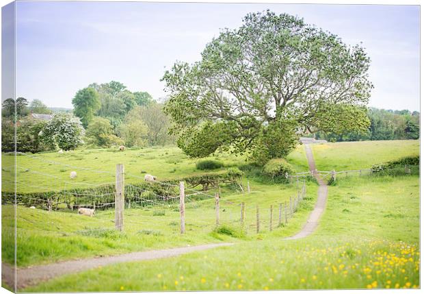  English Countryside Canvas Print by Paul Walker