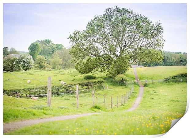  English Countryside Print by Paul Walker