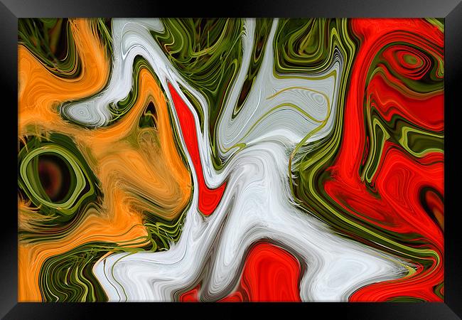 DIGITAL IMAGE No.2 Framed Print by Ray Bacon LRPS CPAGB