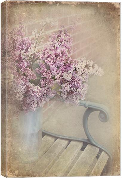  Lilac Touch Canvas Print by Svetlana Sewell