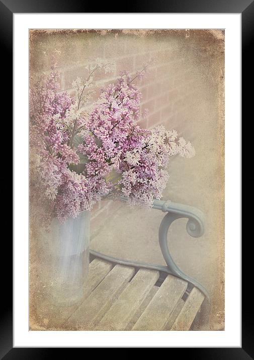  Lilac Touch Framed Mounted Print by Svetlana Sewell
