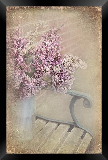  Lilac Touch Framed Print by Svetlana Sewell