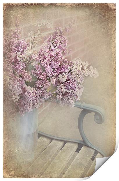  Lilac Touch Print by Svetlana Sewell