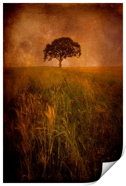  Lonely Tree Print by Svetlana Sewell