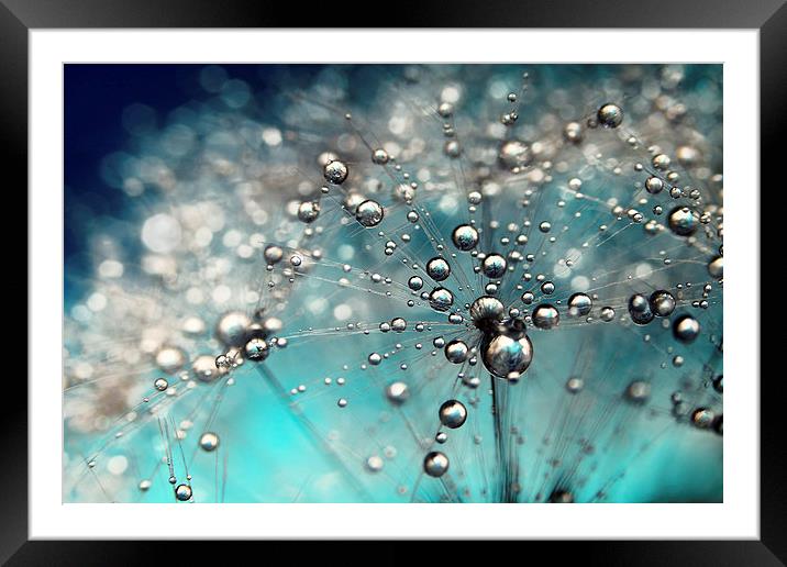  Ocean Blue and White Dandy Drops Framed Mounted Print by Sharon Johnstone