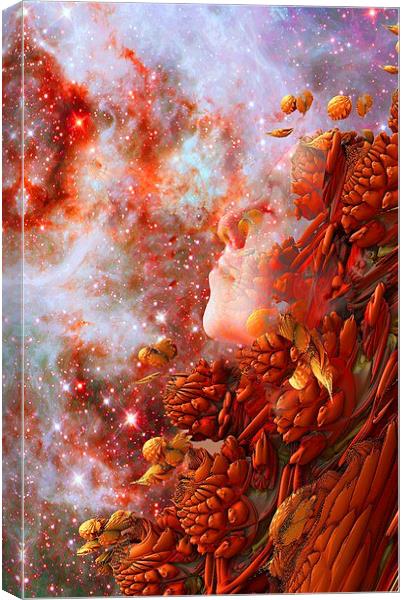  Star Dream Canvas Print by Matthew Lacey