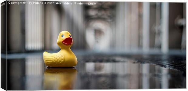  Toy Duck on the Level Canvas Print by Ray Pritchard