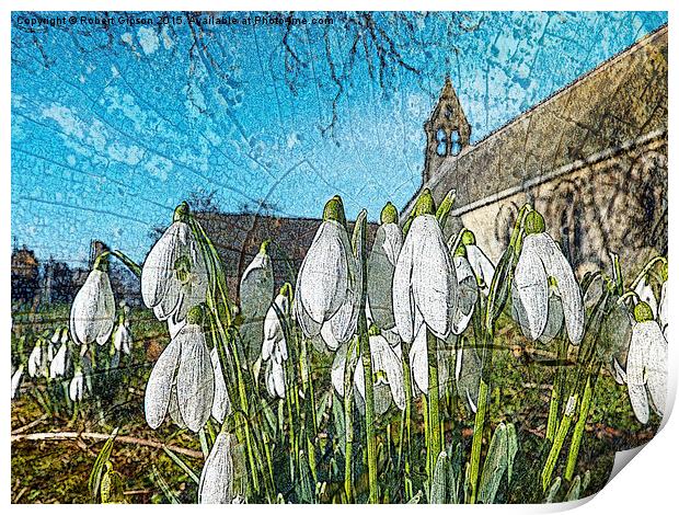  Snowdrops on texture Print by Robert Gipson