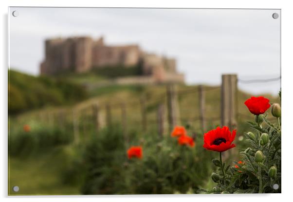Bamburgh Castle  Acrylic by Northeast Images