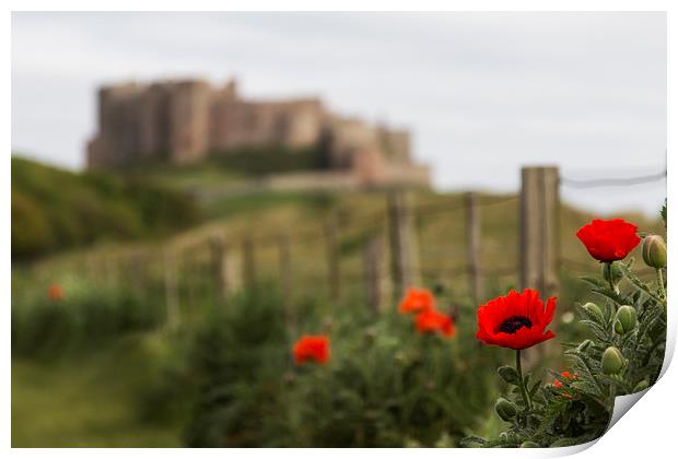 Bamburgh Castle  Print by Northeast Images