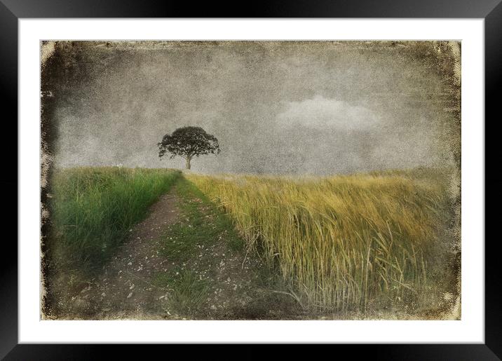  End of Road Framed Mounted Print by Svetlana Sewell