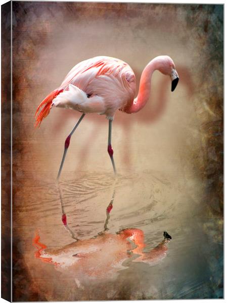 flamingo Canvas Print by Svetlana Sewell