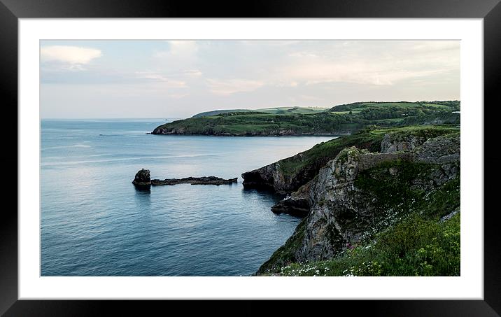  Berry Head Framed Mounted Print by keith sutton