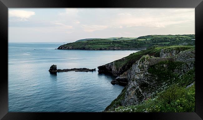  Berry Head Framed Print by keith sutton