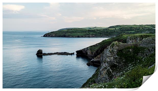  Berry Head Print by keith sutton