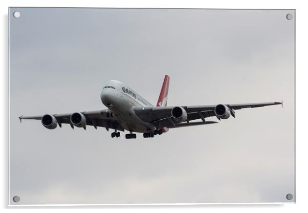 Qantas Airbus A380 Acrylic by David Pyatt
