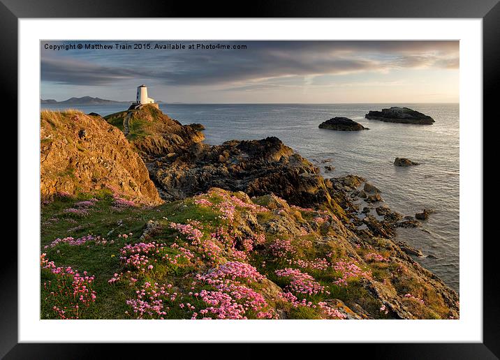 Wildflower Lighthouse Framed Mounted Print by Matthew Train
