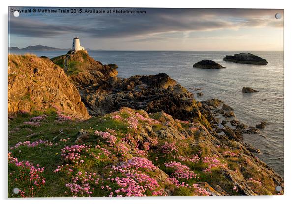 Wildflower Lighthouse Acrylic by Matthew Train