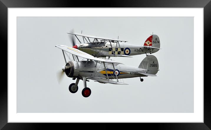  Sea fury and gloster gladiator  Framed Mounted Print by Andy Stringer