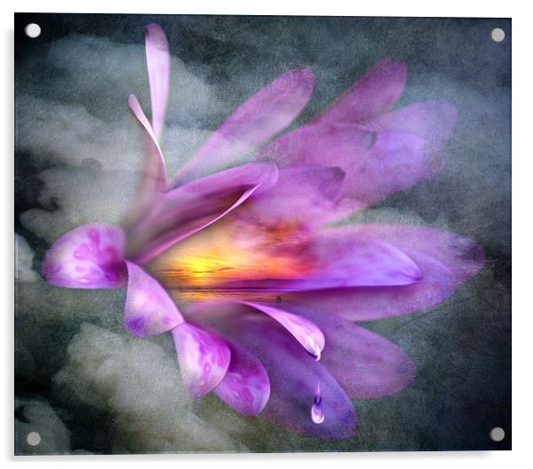 Flower Spirit Acrylic by Svetlana Sewell