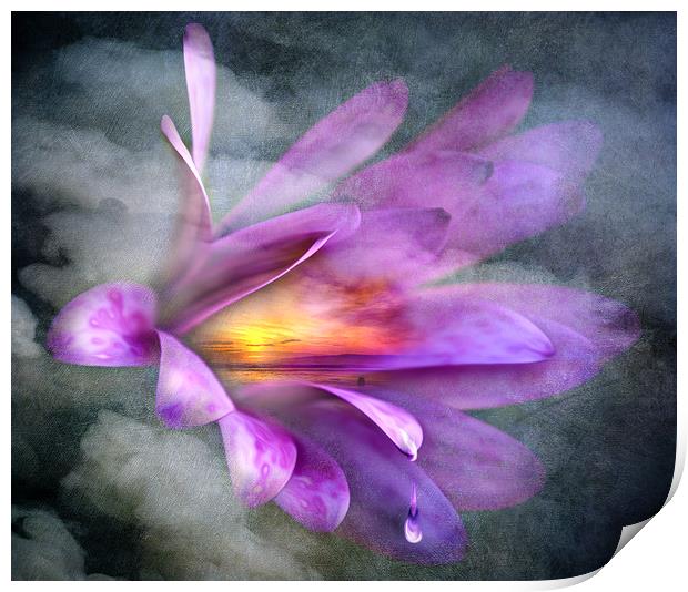 Flower Spirit Print by Svetlana Sewell
