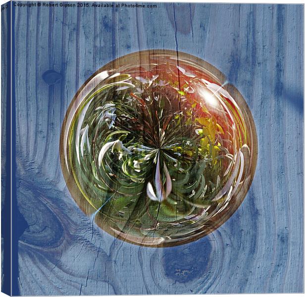  Flower Globe Bubble on Wood Canvas Print by Robert Gipson