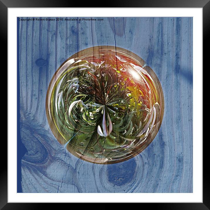  Flower Globe Bubble on Wood Framed Mounted Print by Robert Gipson