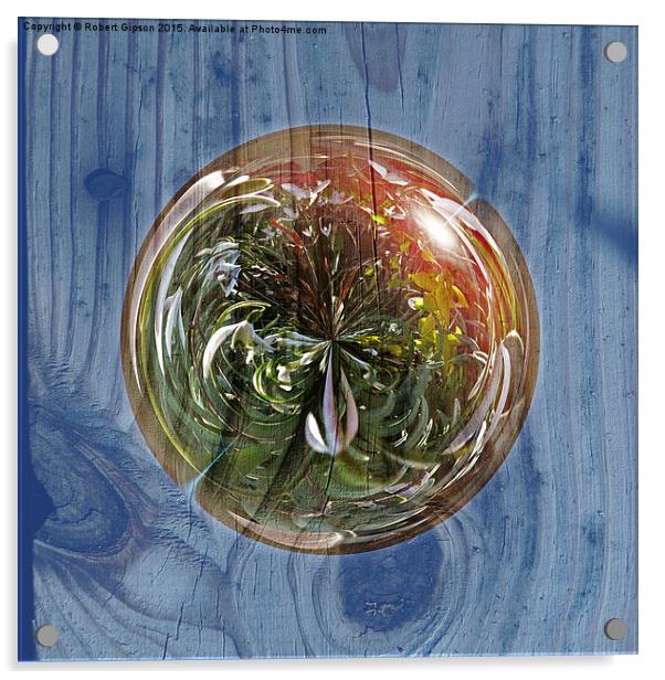  Flower Globe Bubble on Wood Acrylic by Robert Gipson