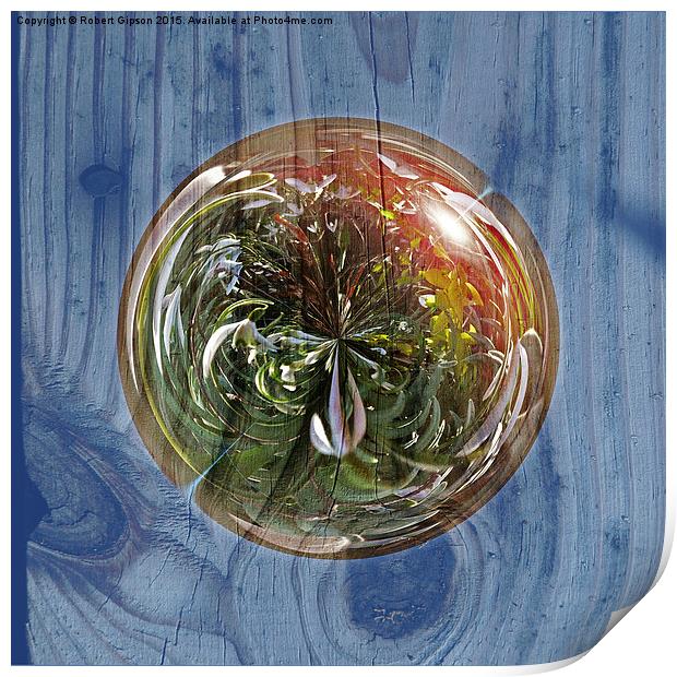  Flower Globe Bubble on Wood Print by Robert Gipson