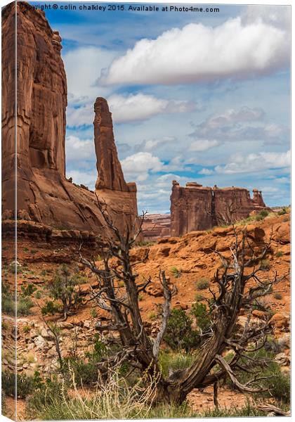  Barren Landscape in Arches National Park Canvas Print by colin chalkley